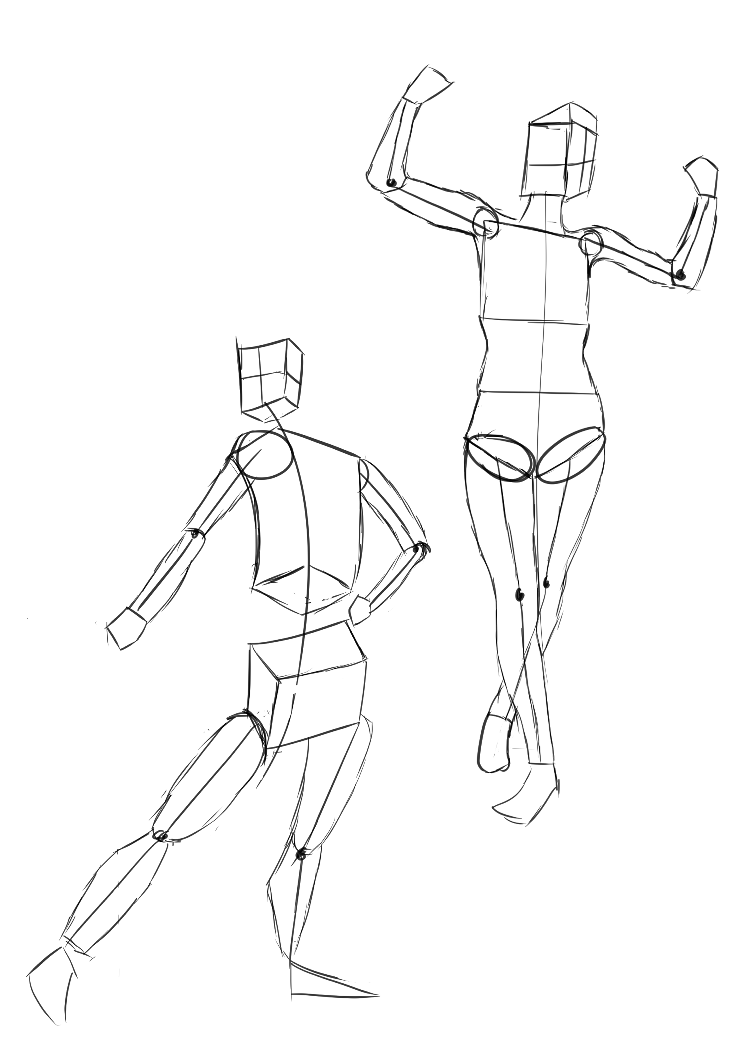 Anatomy Drawing 3